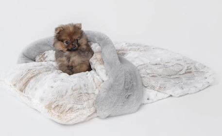 Ritz Hideaway Dog Bed (Color: Pearl Leopard & Dove Grey)