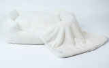 Big Baby Dog Bed Collection